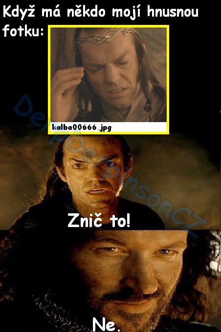 Petr Pospíšil David Miko Daniel Piontek Dominik Tofel